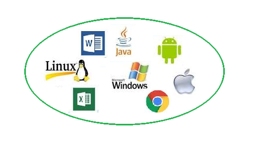 Online Programming courses